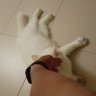 3131T31D1Y4NT0 profil fotoğrafı
