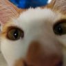 ʜɪʀᴀ 🌙 profil fotoğrafı