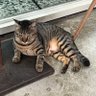 joe sun's profile picture