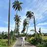 Vivek Tomar's profile picture
