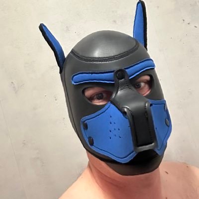 Mark30644069's profile picture