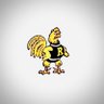 Rooster20 的头像
