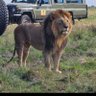 Felriz🇰🇪's profile picture