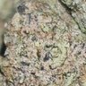 Black_Davil 的头像