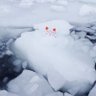 おひとりさま② 的头像