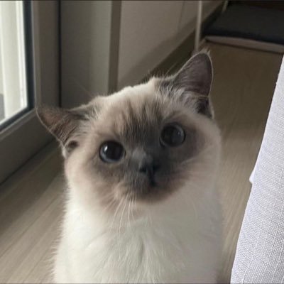 doublepprixx's profile picture