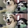 Dave profil fotoğrafı