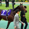 ACE9 ドウデュース推し 的头像