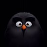 Profilbild von Papa Bear