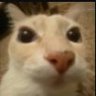 Mtthw's profile picture