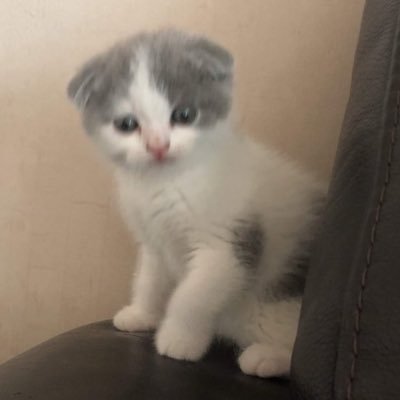 sinrryuddaeng's profile picture
