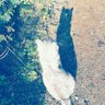 ㅁㅅㅇ's profile picture