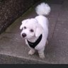 Moon Moon's profile picture