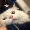 Profilbild von 老登