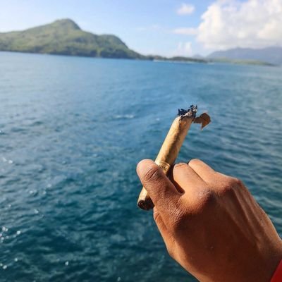 paid2cook's profile picture