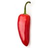 Profilbild von RodePeper 🌶️