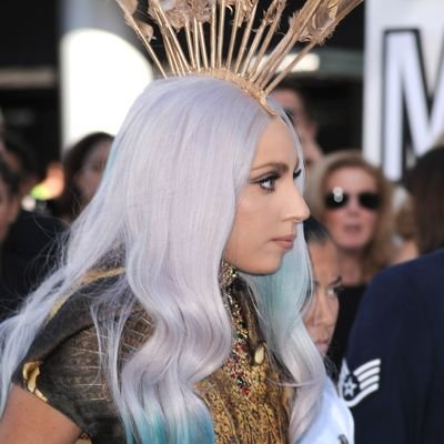 Avid ( Fan Account )'s profile picture