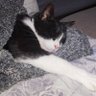 Profilbild von Monica