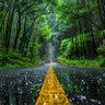 Фото профиля Mayank Sharma
