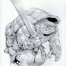 madd_Tortoise profil fotoğrafı