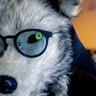 Profilbild von 🐻❄️クマ🐻❄️