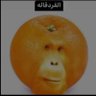 Profilbild von Wello