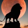 GK_Nandan's profile picture