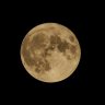 Romy_72's profile picture