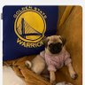 Rebugio Gerry's profile picture