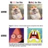 xiayi profil fotoğrafı