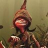 Focfollet's profile picture