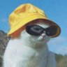 Burcuu20's profile picture