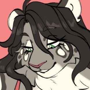 Ritasnep 🇮🇪 (🤍🤎🖤)'s profile picture
