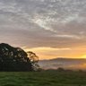 Milner Field Farm Bingley ๐๐ฅ's profile picture