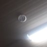 memo fan profil fotoğrafı