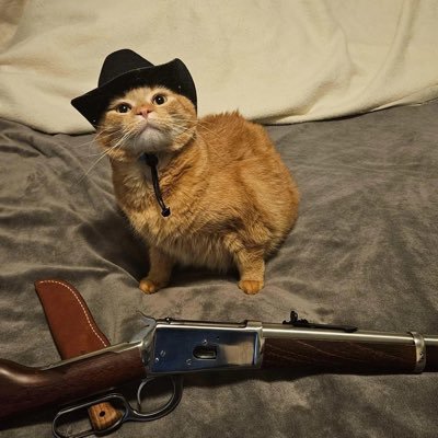 Max's profile picture