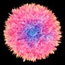 Knowpium profil fotoğrafı