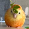 Фото профиля pearagon