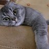 Sinyorita5546 profil fotoğrafı