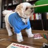 B profil fotoğrafı
