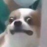 Profilbild von bigjjthe_homie