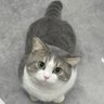 Jianly profil fotoğrafı