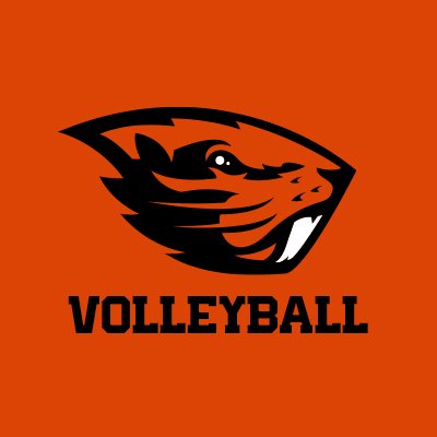 BeaverVBall's profile picture