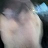 BIIIIG BODDY 的头像