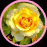 nozomu mama☺︎'s profile picture