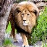 Hunter's profile picture