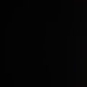 Rose's profile picture