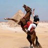 Фото профиля mohamed