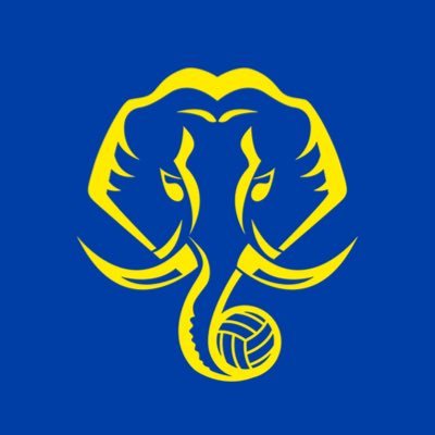 Kerala Blasters FC's profile picture