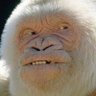 あかさたな profil fotoğrafı